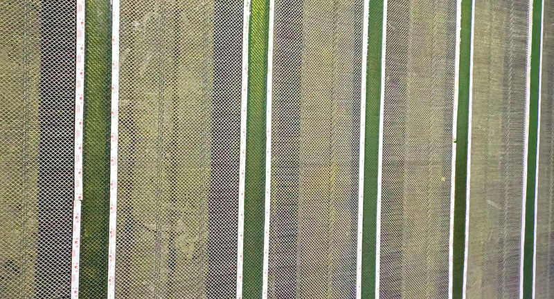 防堵筛网9.jpg