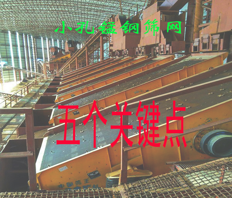 官网筛分现场1.jpg 官网筛分现场1.jpg