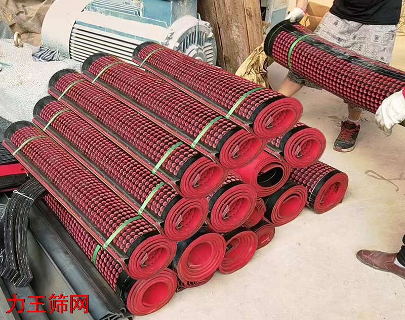 橡胶筛网1 (3).jpg 橡胶筛网1 (3).jpg